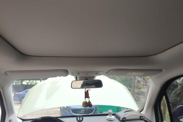 Used Leapmotor T03 2021 400 Luxury Pro Edition Headliner