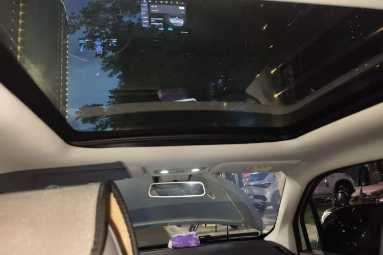 Used Leapmotor T03 2021 400 Luxury Pro Edition Headliner