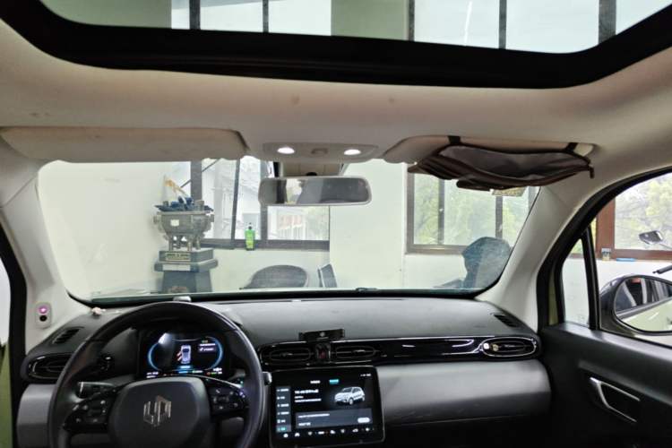 Used Leapmotor T03 2021 400 Luxury Pro Edition Headliner