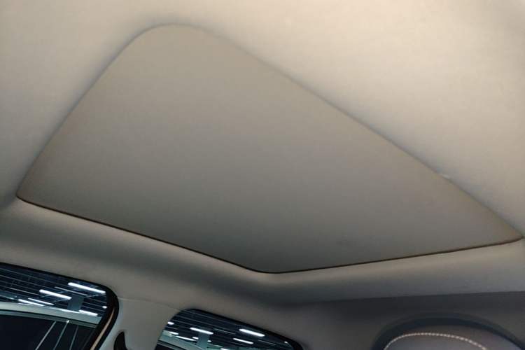 Used Leapmotor T03 2021 400 Luxury Pro Edition Headliner