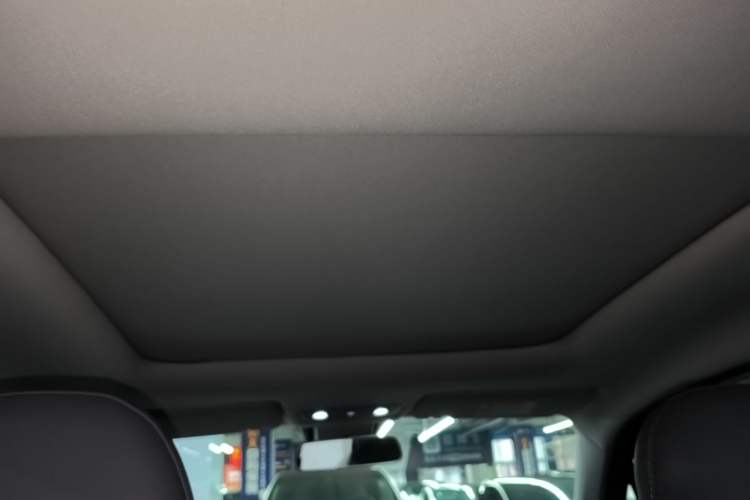 Used Leapmotor T03 2021 400 Luxury Pro Edition Headliner
