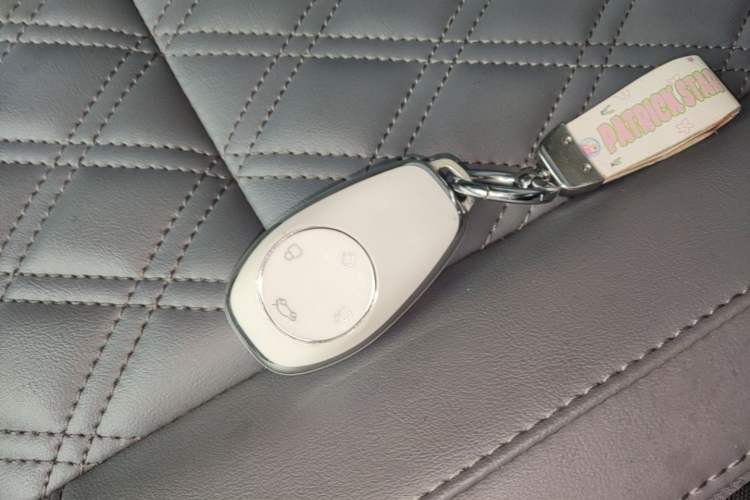 Used Leapmotor T03 2021 400 Luxury Pro Edition Interior 1