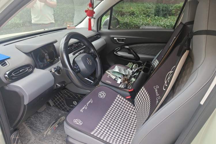 Used Leapmotor T03 2021 400 Luxury Pro Edition Left Front Seat