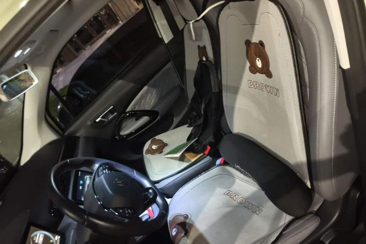 Used Leapmotor T03 2021 400 Luxury Pro Edition Left Front Seat