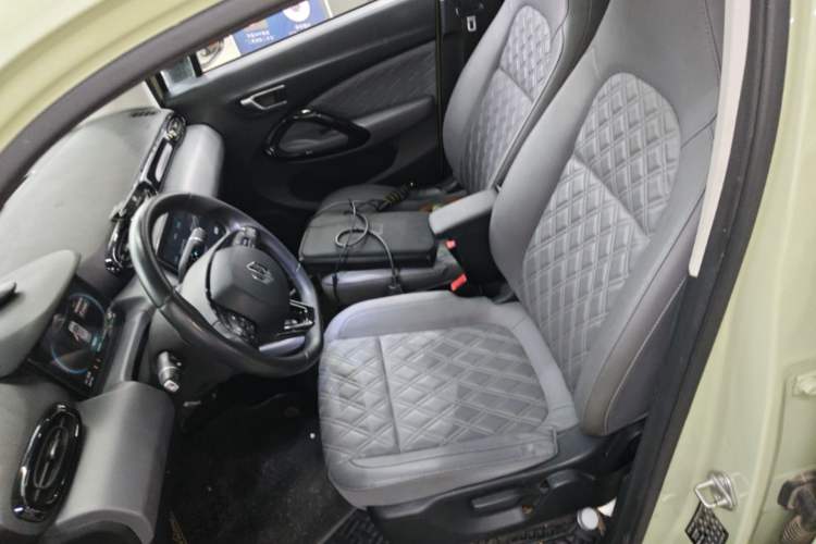 Used Leapmotor T03 2021 400 Luxury Pro Edition Left Front Seat