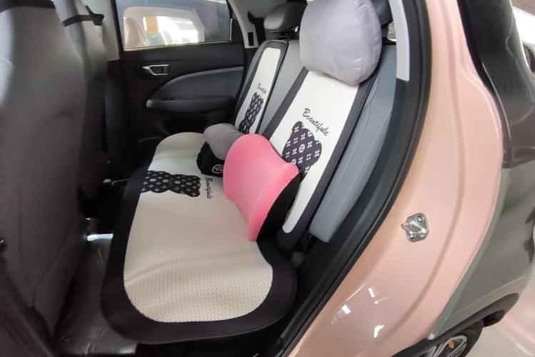 Used Leapmotor T03 2021 400 Luxury Edition Left Rear Seat
