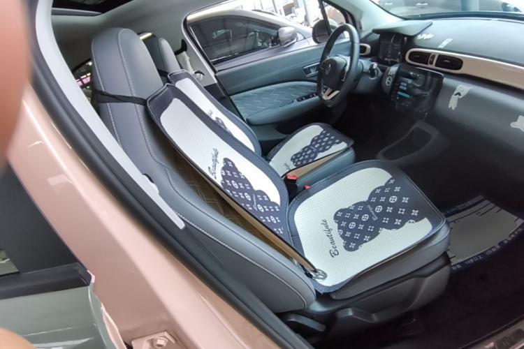 Used Leapmotor T03 2021 400 Luxury Edition Right Front Seat