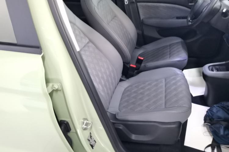 Used Leapmotor T03 2021 400 Luxury Pro Edition Right Front Seat
