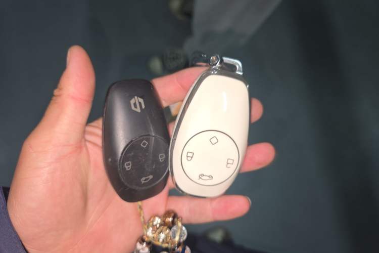 Used Leapmotor T03 2021 400 Luxury Pro Edition Vehicle Key