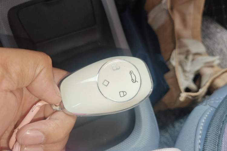 Used Leapmotor T03 2021 400 Luxury Pro Edition Vehicle Key