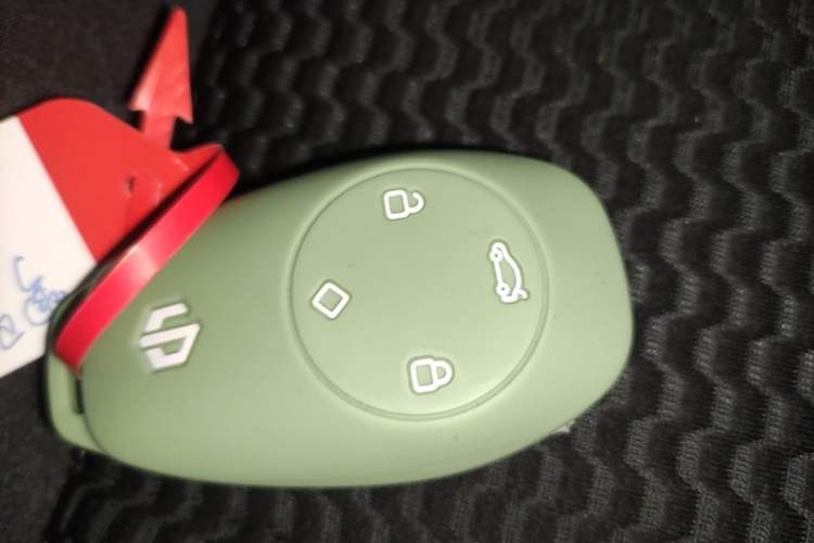 Used Leapmotor T03 2021 400 Lite Edition Lithium Iron Phosphate Vehicle Key