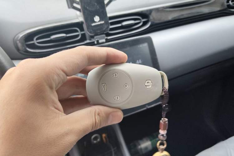 Used Leapmotor T03 2021 400 Luxury Pro Edition Vehicle Key