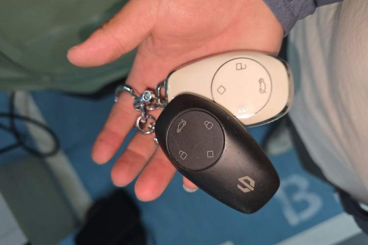 Used Leapmotor T03 2021 400 Luxury Pro Edition Vehicle Key