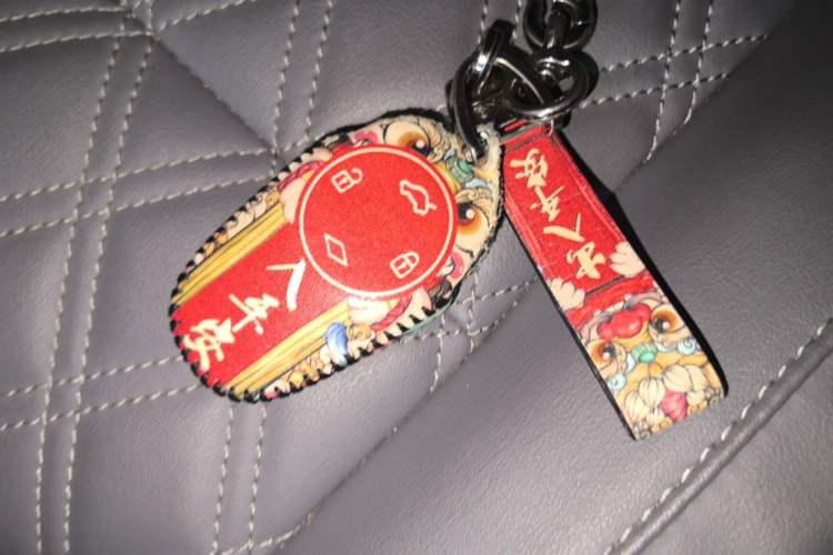 Used Leapmotor T03 2021 400 Luxury Edition Vehicle Key