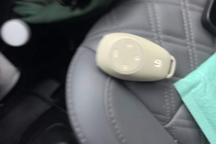 Used Leapmotor T03 2021 400 Luxury Pro Edition Vehicle Key