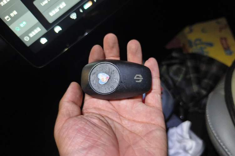 Used Leapmotor T03 2021 400 Luxury Pro Edition Vehicle Key