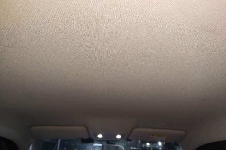 Used Leapmotor T03 2021 400 Micro-Sugar Version Headliner
