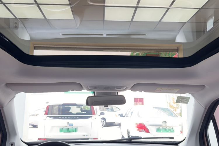 Used Leapmotor T03 2021 400 Luxury Edition Headliner