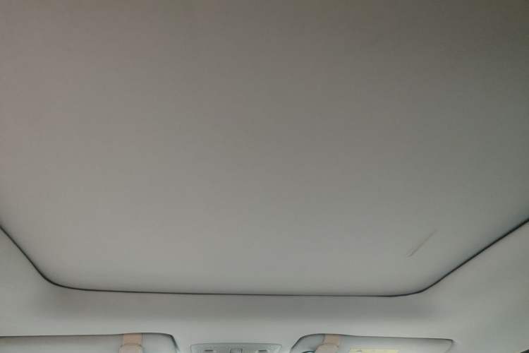 Used Leapmotor T03 2021 400 Luxury Edition Headliner