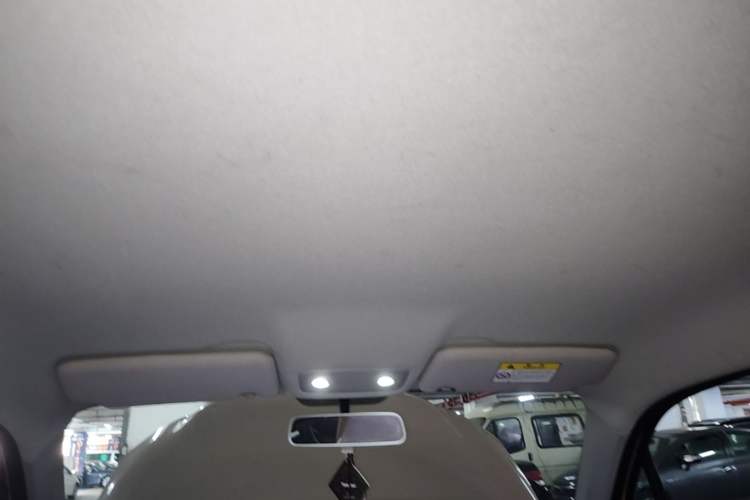 Used Leapmotor T03 2021 400 Micro-Sugar Version Headliner