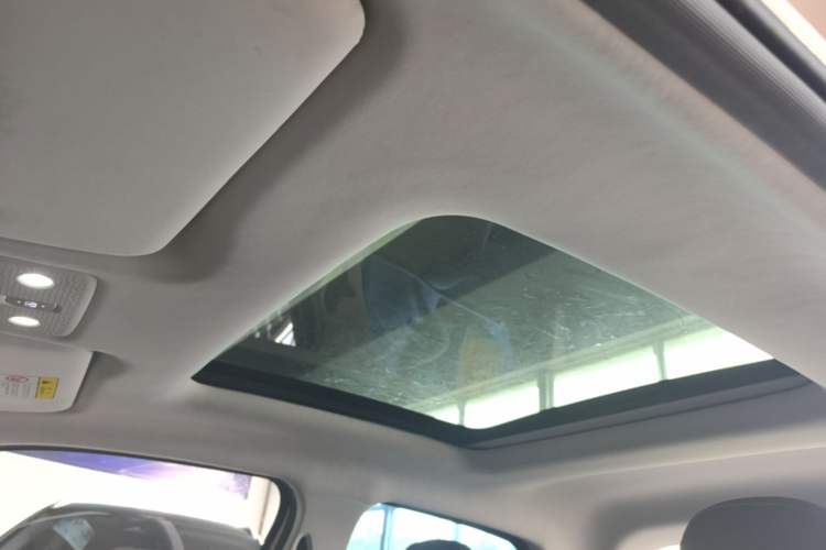 Used Leapmotor T03 2021 400 Luxury Pro Edition Headliner