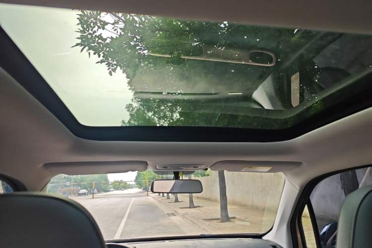 Used Leapmotor T03 2021 400 Comfort Edition Headliner