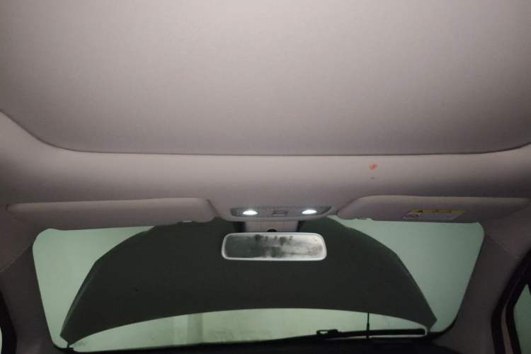 Used Leapmotor T03 2021 400 Luxury Edition Headliner