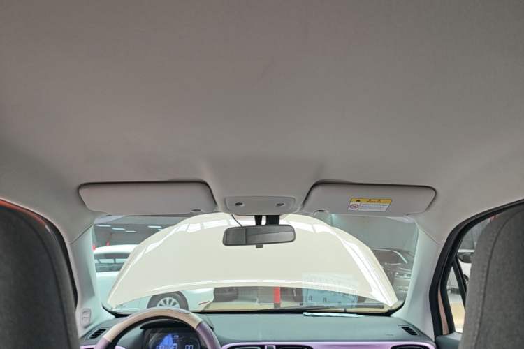 Used Leapmotor T03 2021 400 Online Booking Version Headliner