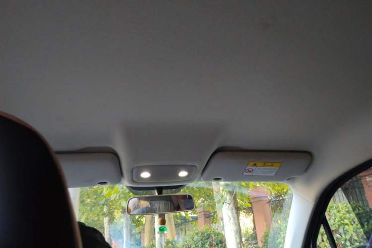 Used Leapmotor T03 2021 400 Micro-Sugar Version Headliner