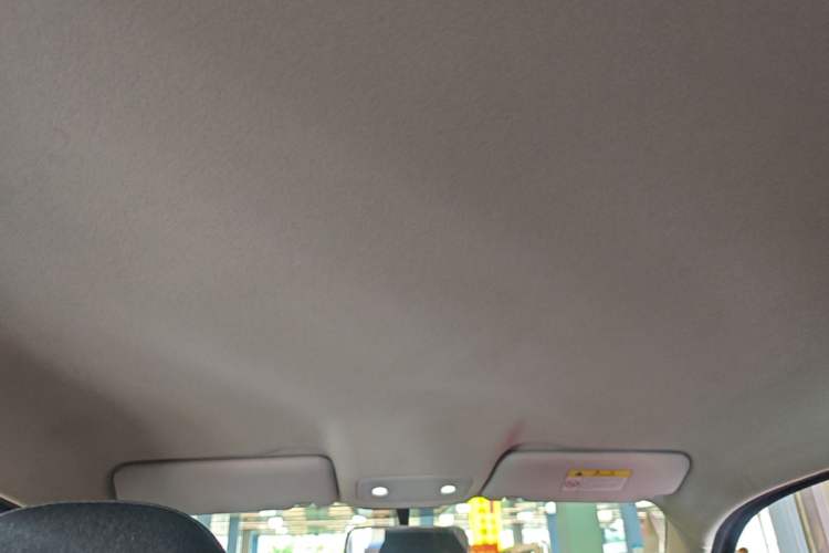 Used Leapmotor T03 2021 400 Micro-Sugar Version Headliner