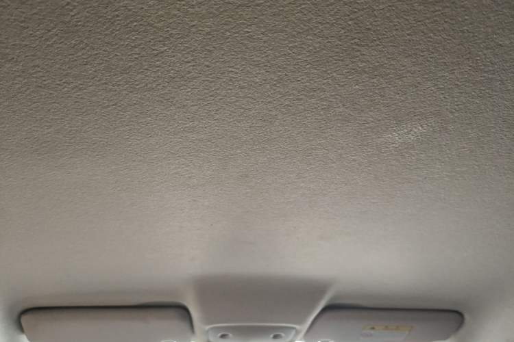 Used Leapmotor T03 2021 400 Micro-Sugar Version Headliner