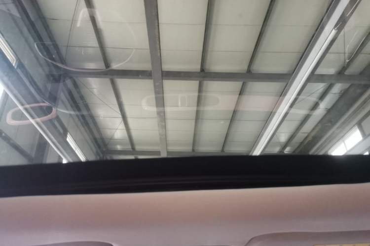 Used Leapmotor T03 2021 400 Luxury Edition Headliner