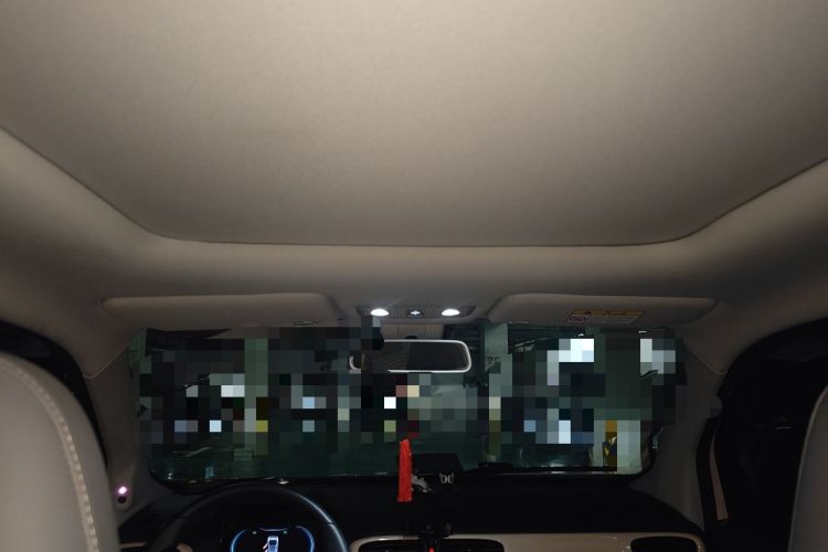 Used Leapmotor T03 2021 400 Luxury Edition Headliner