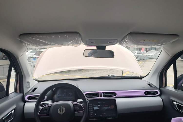 Used Leapmotor T03 2021 400 Micro-Sugar Version Headliner