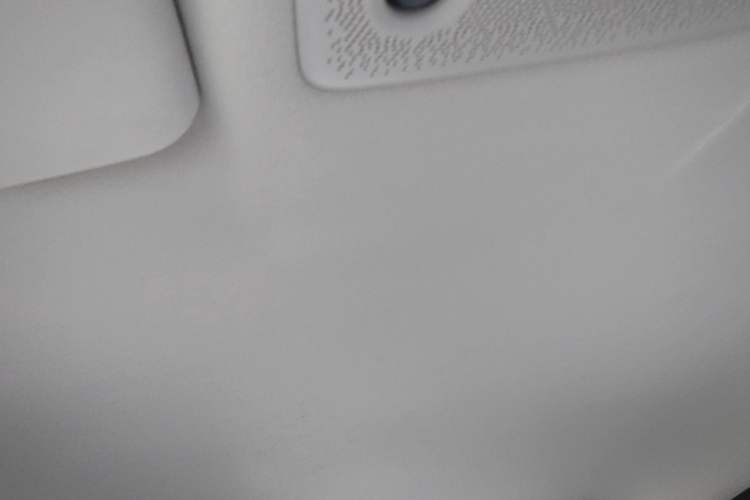 Used Leapmotor T03 2021 400 Micro-Sugar Version Headliner