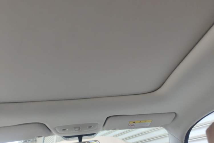 Used Leapmotor T03 2021 400 Comfort Edition Headliner