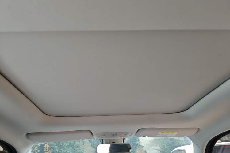Used Leapmotor T03 2021 400 Luxury Edition Headliner