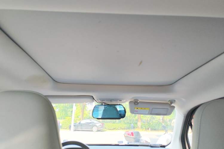 Used Leapmotor T03 2021 400 Luxury Pro Edition Headliner