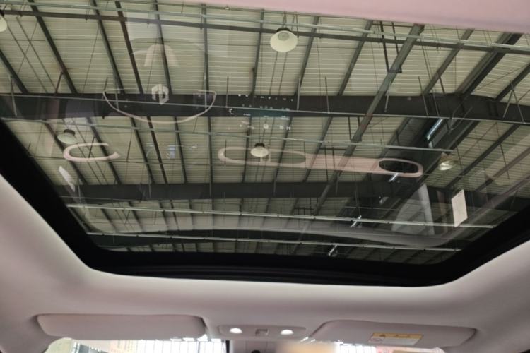 Used Leapmotor T03 2021 400 Luxury Edition Headliner