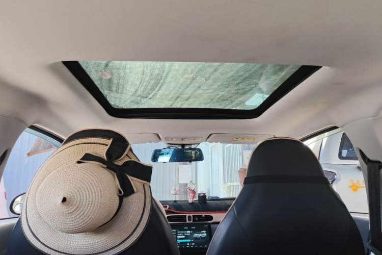 Used Leapmotor T03 2021 400 Comfort Edition Headliner