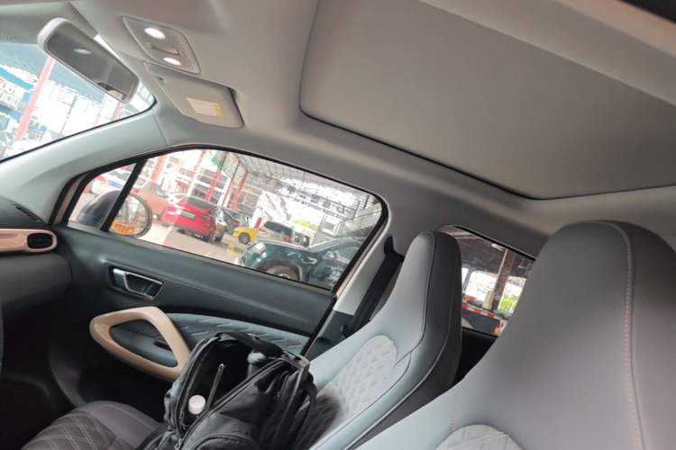 Used Leapmotor T03 2021 400 Luxury Pro Edition Headliner