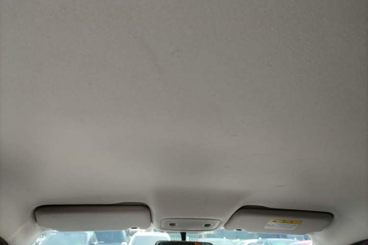 Used Leapmotor T03 2021 400 Micro-Sugar Version Headliner