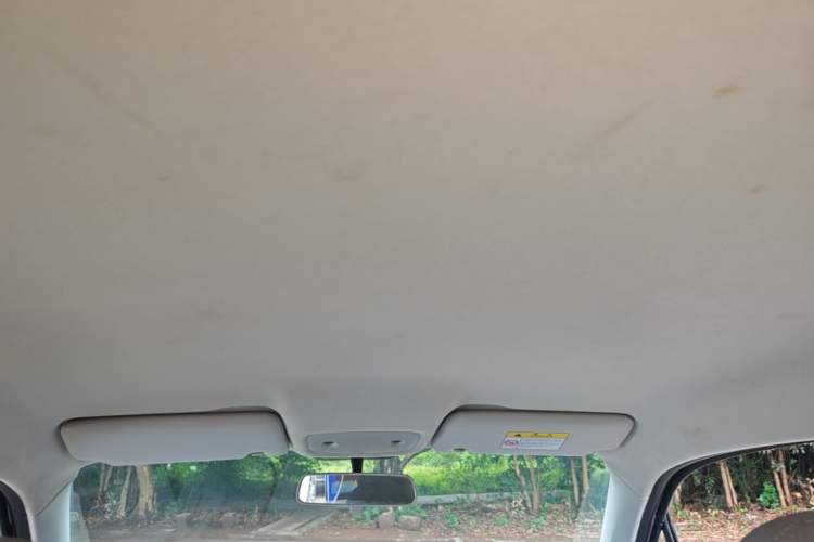 Used Leapmotor T03 2021 400 Micro-Sugar Version Headliner