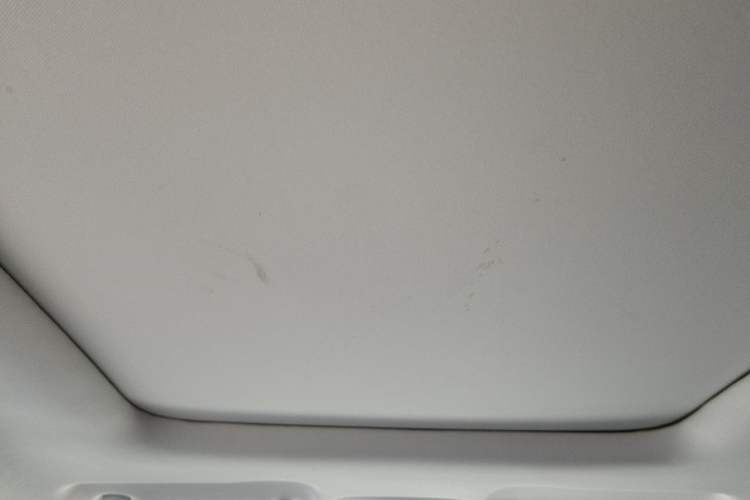 Used Leapmotor T03 2021 400 Luxury Edition Headliner