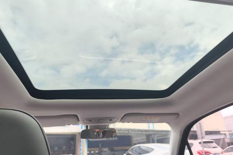 Used Leapmotor T03 2021 400 Luxury Pro Edition Headliner