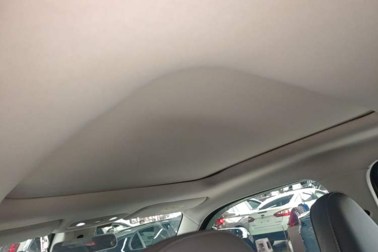 Used Leapmotor T03 2021 400 Luxury Edition Headliner