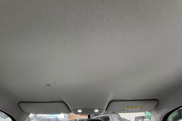 Used Leapmotor T03 2021 400 Micro-Sugar Version Headliner