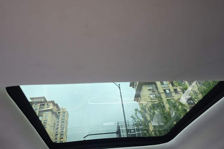Used Leapmotor T03 2021 400 Comfort Edition Headliner