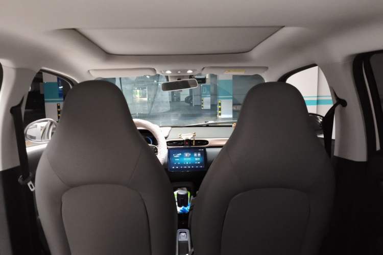 Used Leapmotor T03 2021 400 Luxury Edition Headliner