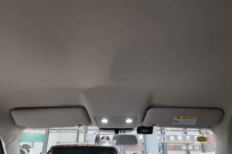Used Leapmotor T03 2021 400 Micro-Sugar Version Headliner